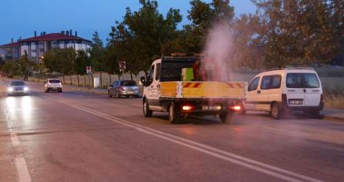 Eskişehir'de haşerelere karşı mücadele başladı!