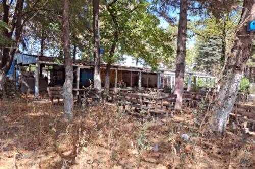 Eskişehir’de hat boyu alarm veriyor! Kuruyan otlar yangın korkusu yarattı