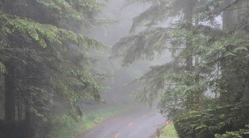 Eskişehir'de hava durumuna dikkat: Yarın sıcaklıklar...