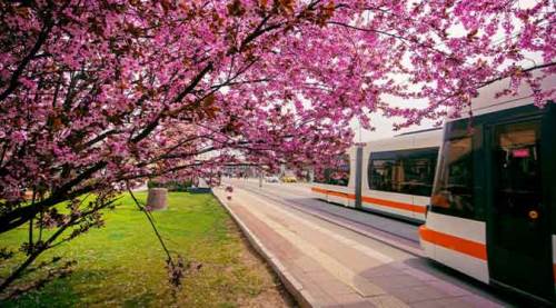 Eskişehir'de hava sıcaklığı rekor üzerine rekor kıracak 