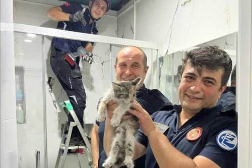 Eskişehir'de havalandırmada mahsur kalan kedi kurtarıldı
