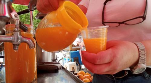 Eskişehir’de havalar ısınınca onların da yüzü güldü