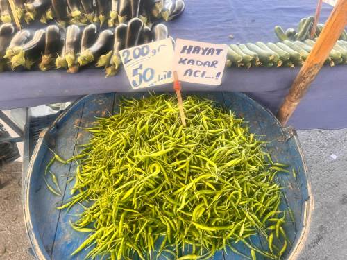 Eskişehir'de hayat kadar acı biberlerin fiyatı dudak uçuklatıyor!