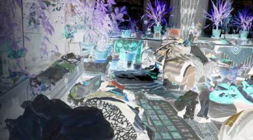 Eskişehir'de hayrete düşüren çöp evden görüntüler...