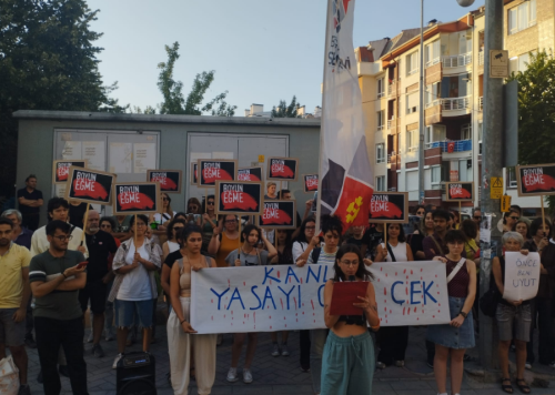 Eskişehir'de hayvan hakları platformu kanlı yasa için direnişte!