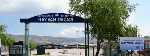 Eskişehir’de hayvan pazarı açılıyor: Yer fiyatları belli oldu