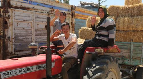  Eskişehir'de hayvan üreticilerine dev destek