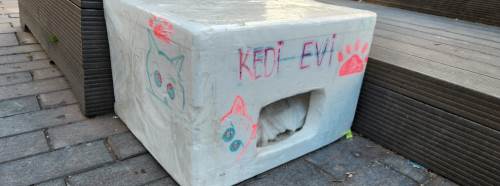 Eskişehir’de hayvansevelerden sokak kedilerine anlamlı destek