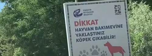 Eskişehir'de hayvanseverlerden belediyeye yeni talep