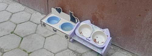 Eskişehir'de hayvanseverlerden örnek davranış