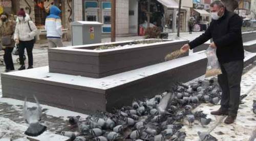 Eskişehir'de her gün Hamamyolu'na gelip bunu yapıyor...