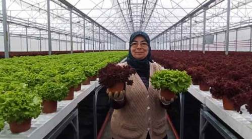 Eskişehir'de her yıl 20 milyon adet üretiliyor!