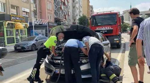 Eskişehir'de herkes onu çıkarmak için seferber oldu ama...