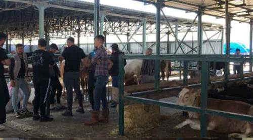 Eskişehir'de herkesin umudu son 3 gün!