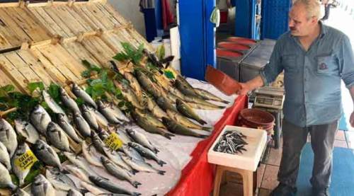 Eskişehir'de hevesle yarını bekliyorlar