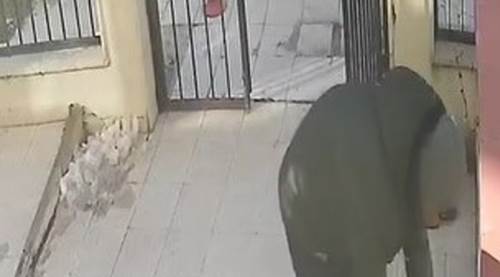 Eskişehir'de hırsız damacananın üzerindekini görünce dayanamadı