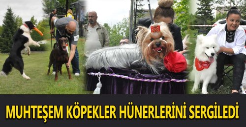 Eskişehir’de hünerlerini sergilediler