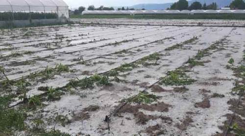 Eskişehir'de iç acıtan manzara: Emekleri 10 dakikada heba oldu