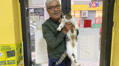 Eskişehir'de iki kez terk edildi: Ponçik'e ömürlük yuva aranıyor!