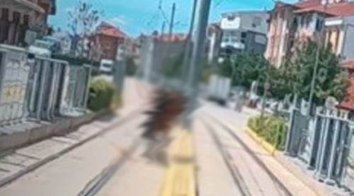 Eskişehir'de ilginç anlar: Tramvay durağında onunla karşılaştılar...