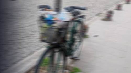 Eskişehir'de ilginç görüntü: Her şey bir kişinin çöp atmasıyla başladı