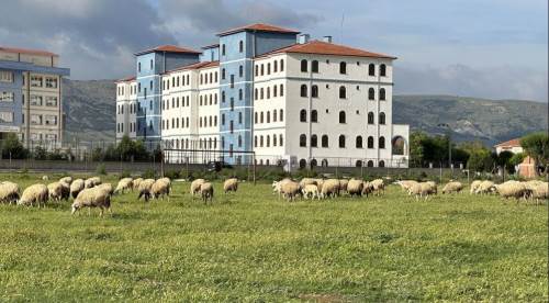 Eskişehir'de ilginç görüntü! Ne için yapıldı, ne oldu...