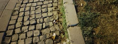 Eskişehir'de ilginç olay: Kırıp yoluna devam etti