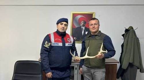 Eskişehir'de ilginç yakalanma: Sosyal medyada geyik boynuzu satıyordu...