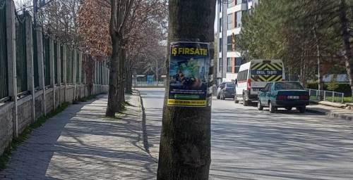 Eskişehir’de iş fırsatları ağaçların üstünde!