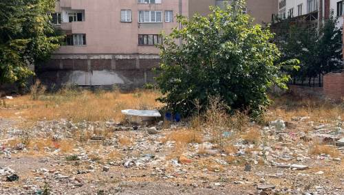 Eskişehir'de işe yaramayınca çöpe attılar: Görenler şok oldu!