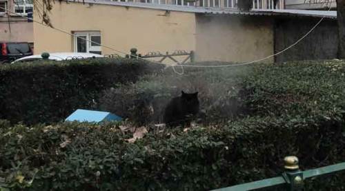 Eskişehir'de ısınmak için öyle bir yer buldu ki...