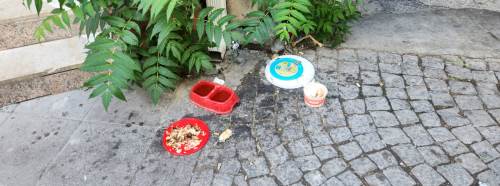 Eskişehir'de iyi niyetli davranış, çevre kirliliğine dönüşüyor