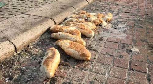 Eskişehir'de iyilik yapmak isterken...