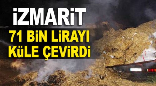 Eskişehir'de izmarit saman balyalarını kül etti