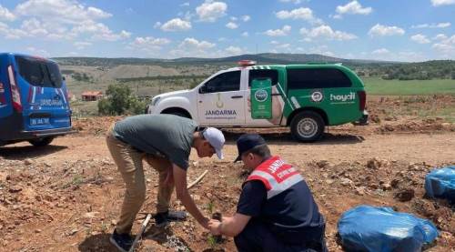 Eskişehir'de jandarma ekiplerinden Çevre Haftası faaliyetleri