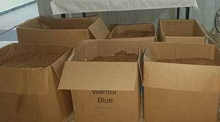 Eskişehir'de jandarma evde buldu: 87 kilogram...