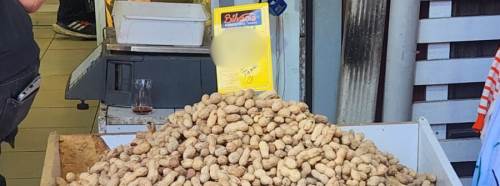 Eskişehir'de kabuklu fıstık cep yakıyor!