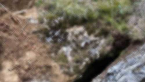 Eskişehir'de kaçak kazıya bakın ne götürmüşler!