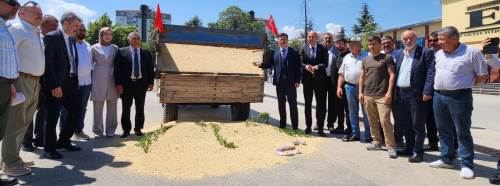 Eskişehir'de kadın üreticiden ilk mahsul: "Arpa"