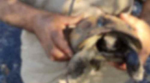 Eskişehir'de kahreden fotoğraf!