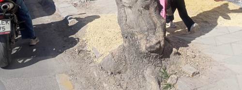 Eskişehir'de kaldırım deformasyonu yayaları zorluyor