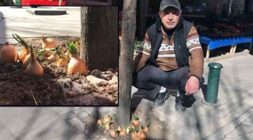 Eskişehir'de kaldırımdan geçenleri şaşırtan görüntü