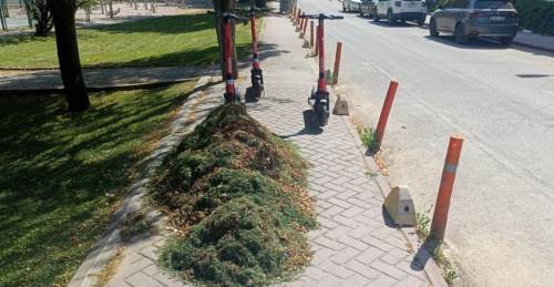 Eskişehir'de kaldırımın tam ortasına böyle bırakıldılar