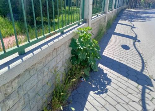 Eskişehir'de kaldırımlar bakım bekliyor 