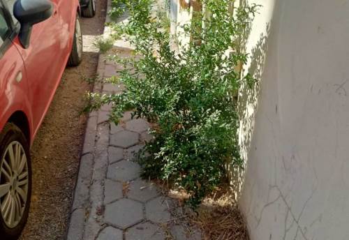 Eskişehir'de kaldırımlar bakımsız kaldı