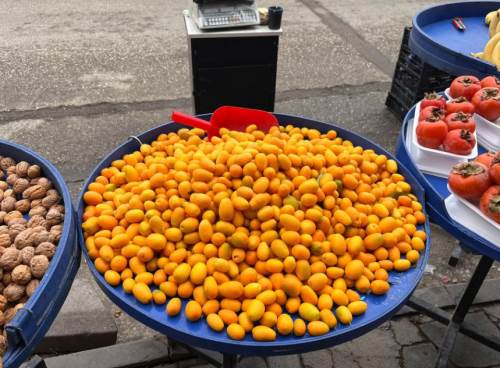 Eskişehir'de kamkatlar tezgahlarda ilgi çekiyor