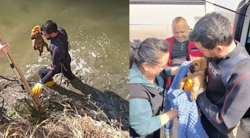 Eskişehir’de kanala düşünce imdadına onlar yetişti