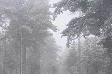 Eskişehir’de kar sevinci: Mihalıççık beyaza büründü