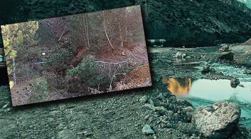 Eskişehir'de katliam var, ses yok!