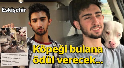 Eskişehir'de kaybettiği köpeğini arıyor